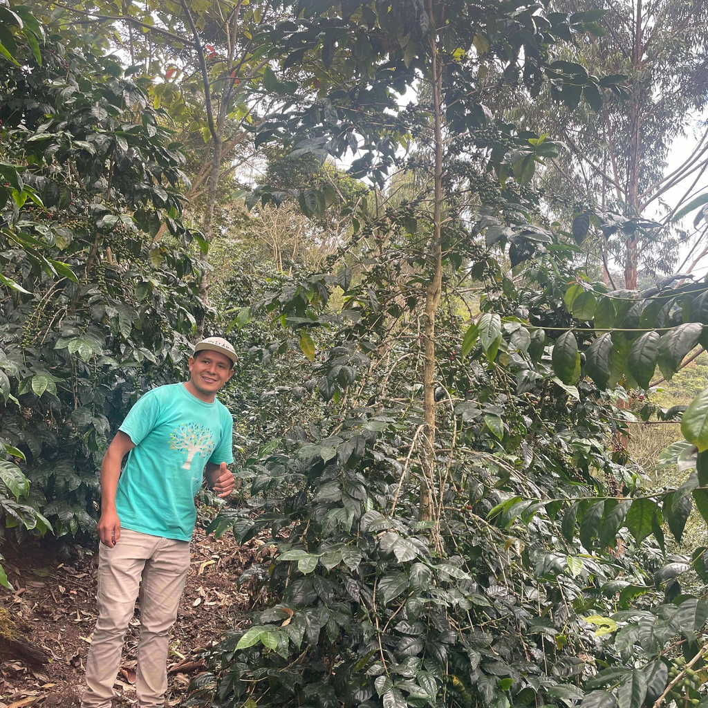Peru Finca Pacpa Geisha Anaerobic Washed