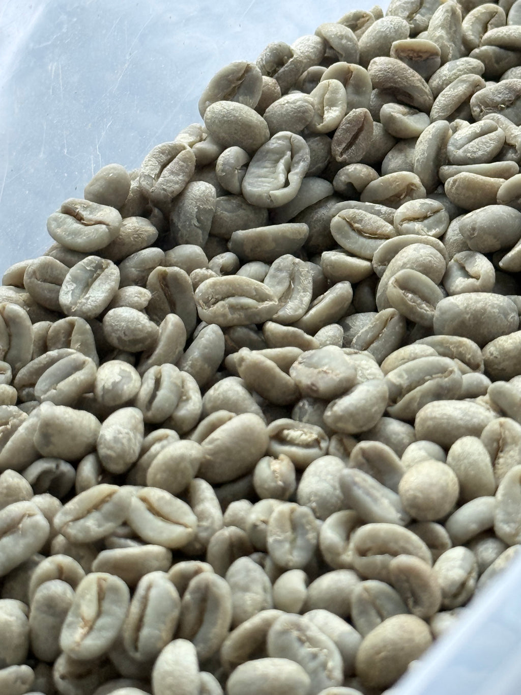 Peru Finca Pacpa Geisha Anaerobic Washed