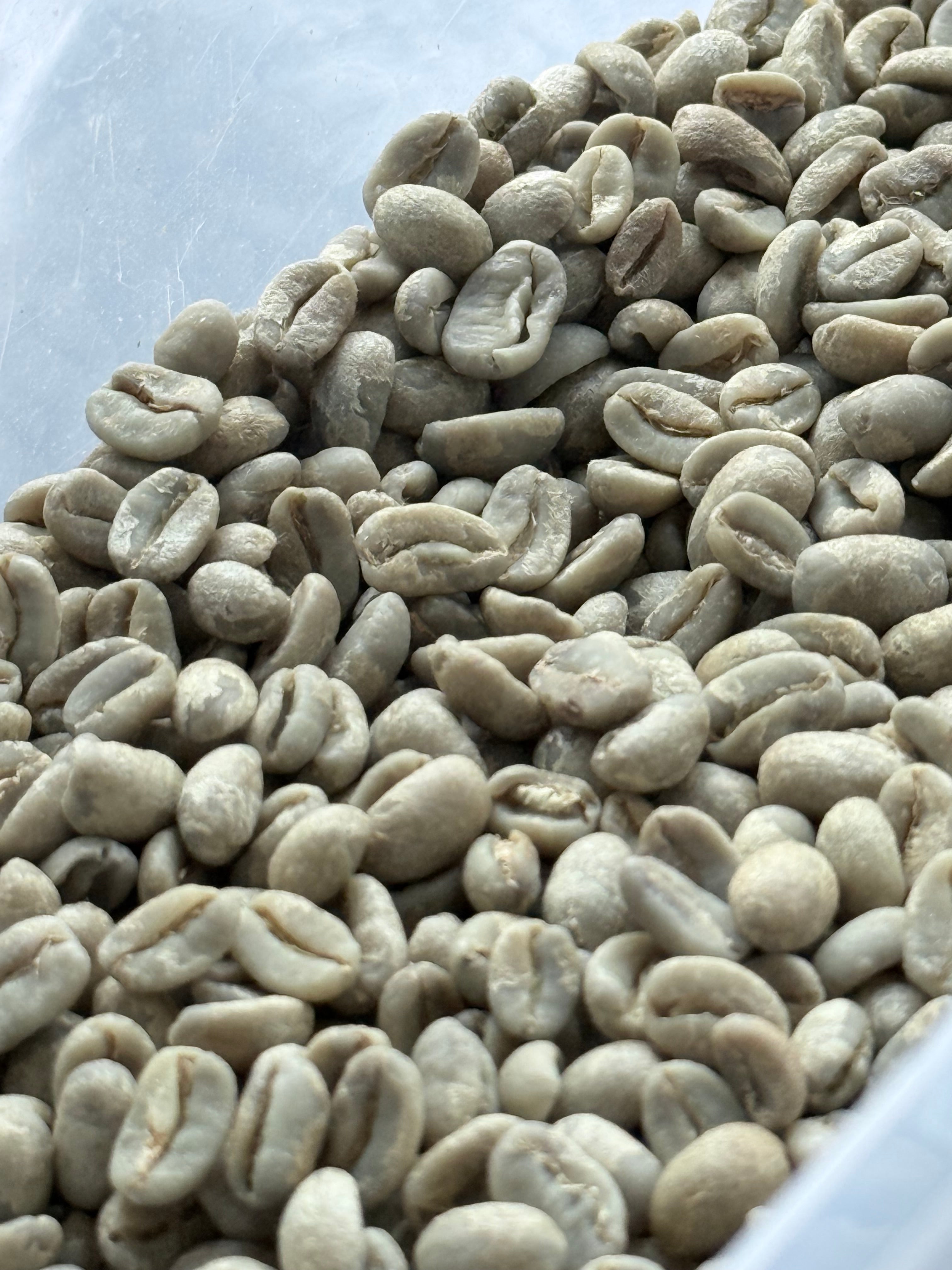 Peru Finca Pacpa Geisha Anaerobic Washed