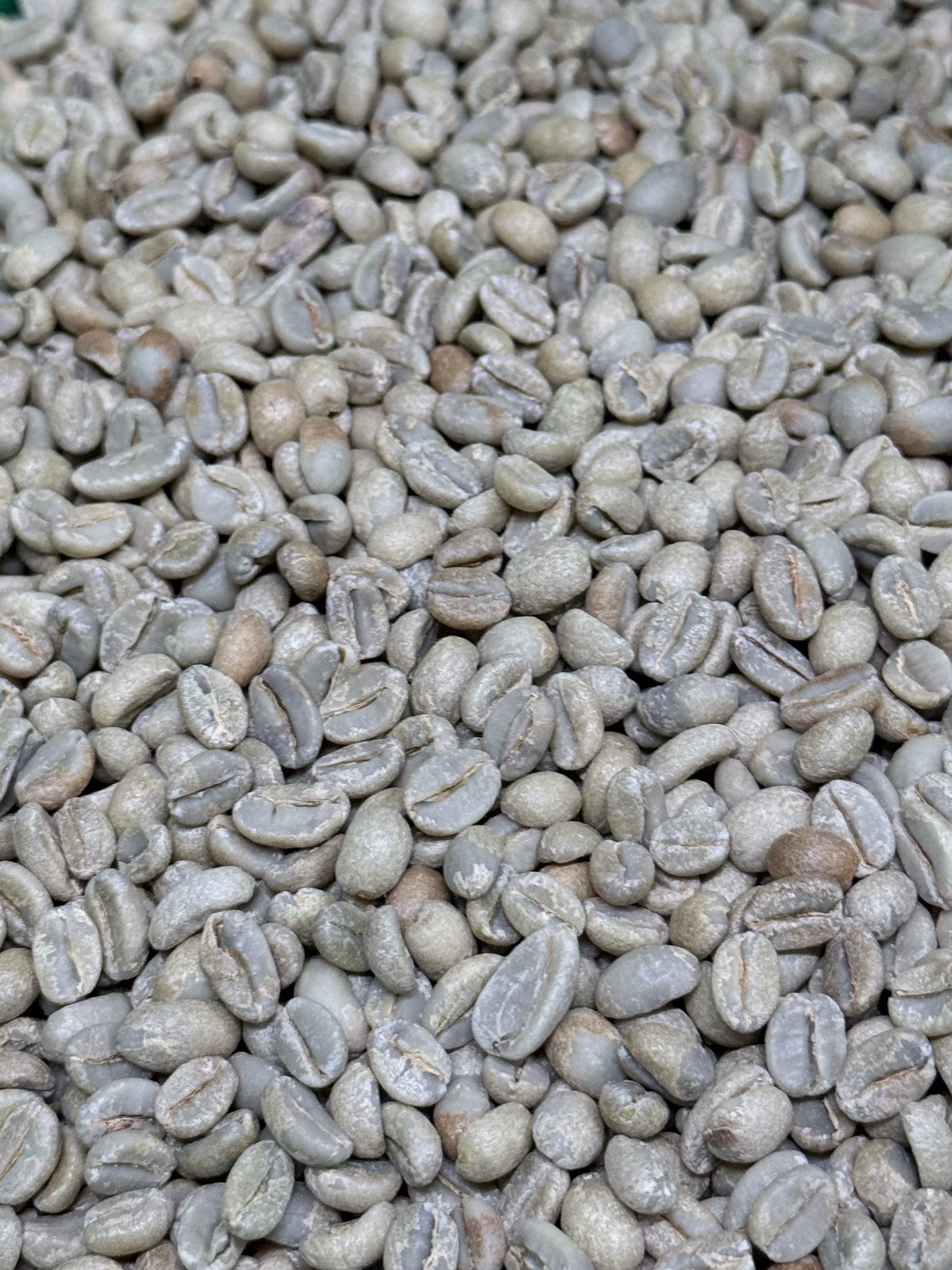 Ethiopian Odaco Natural
