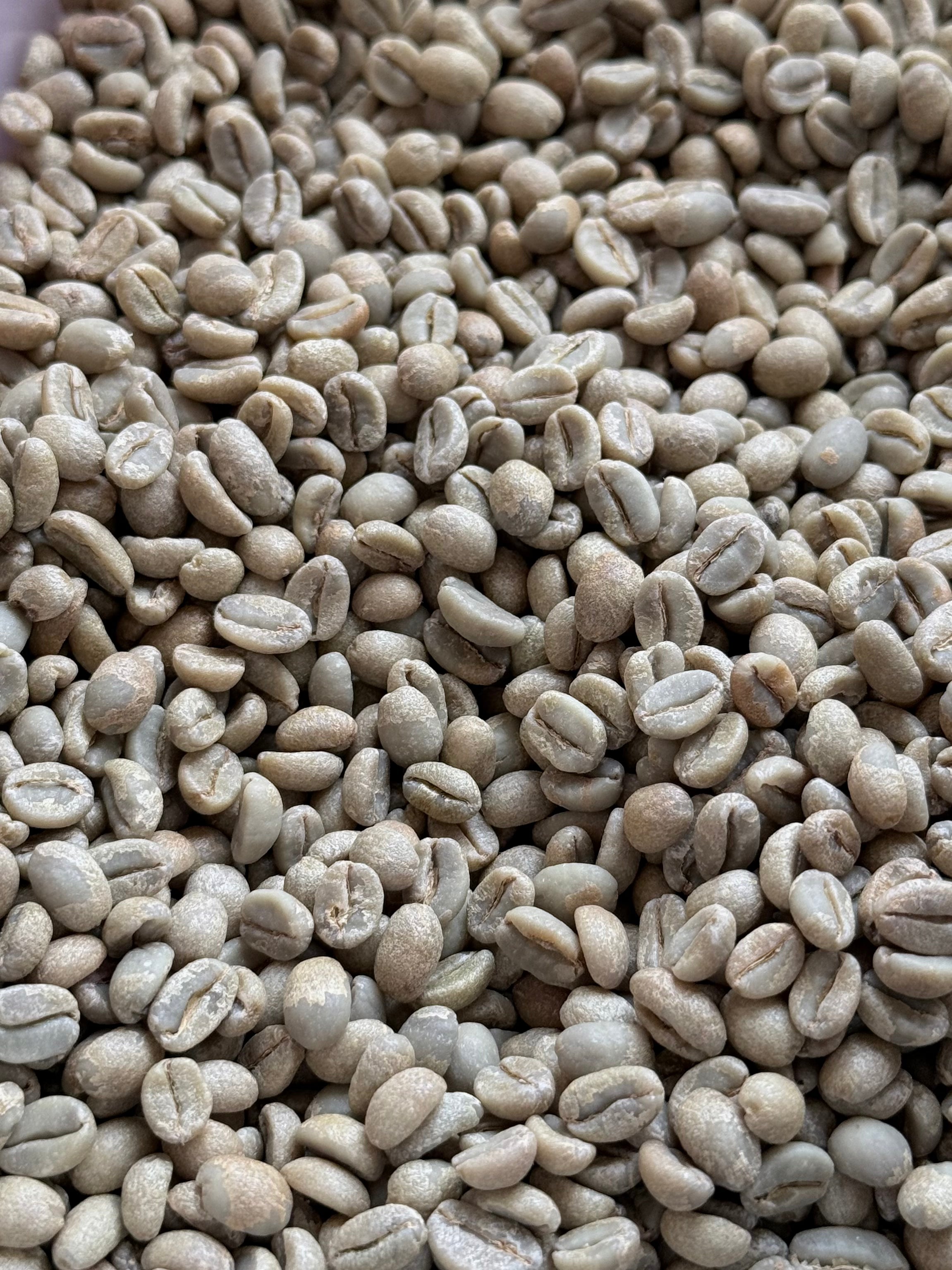 Ethiopia Hamasho G1 Natural