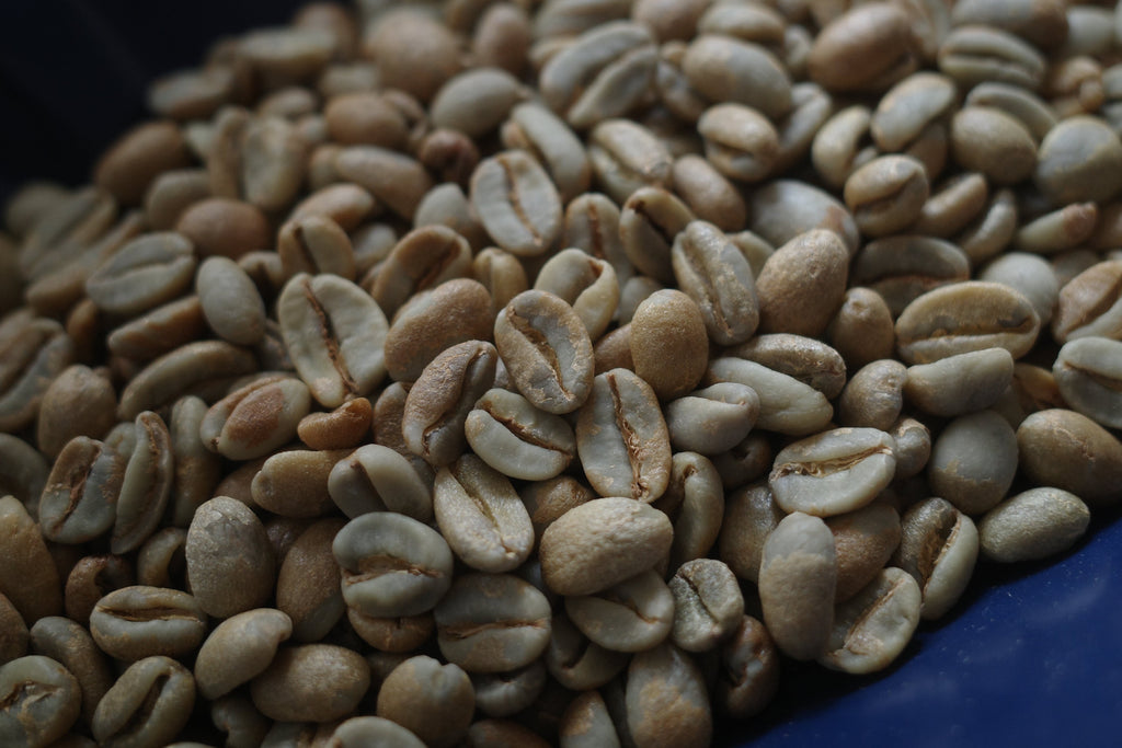 Colombia Picudo Gesha Natural