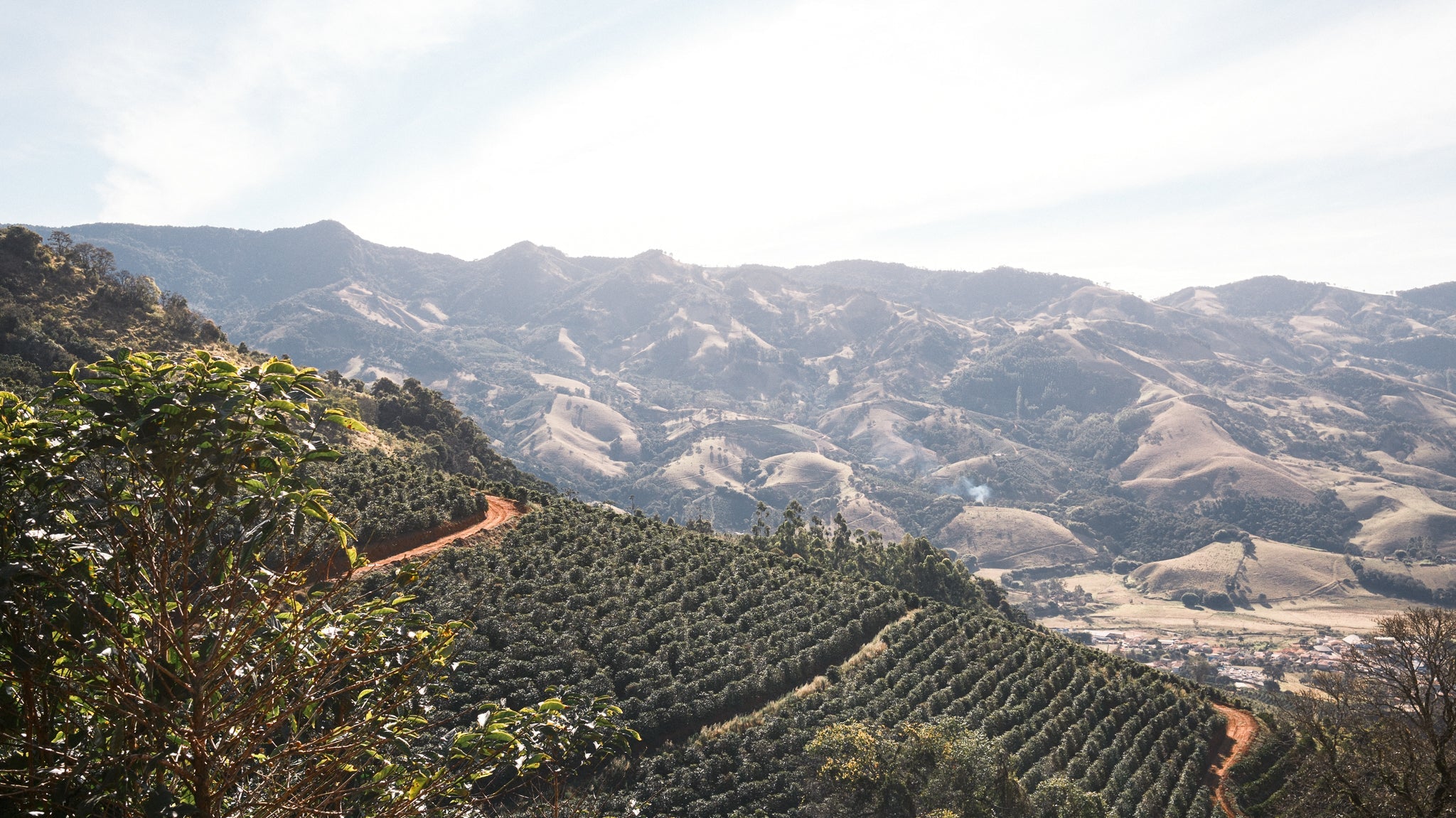 Ethiopia Mitiku Yabato Bensa Natural
