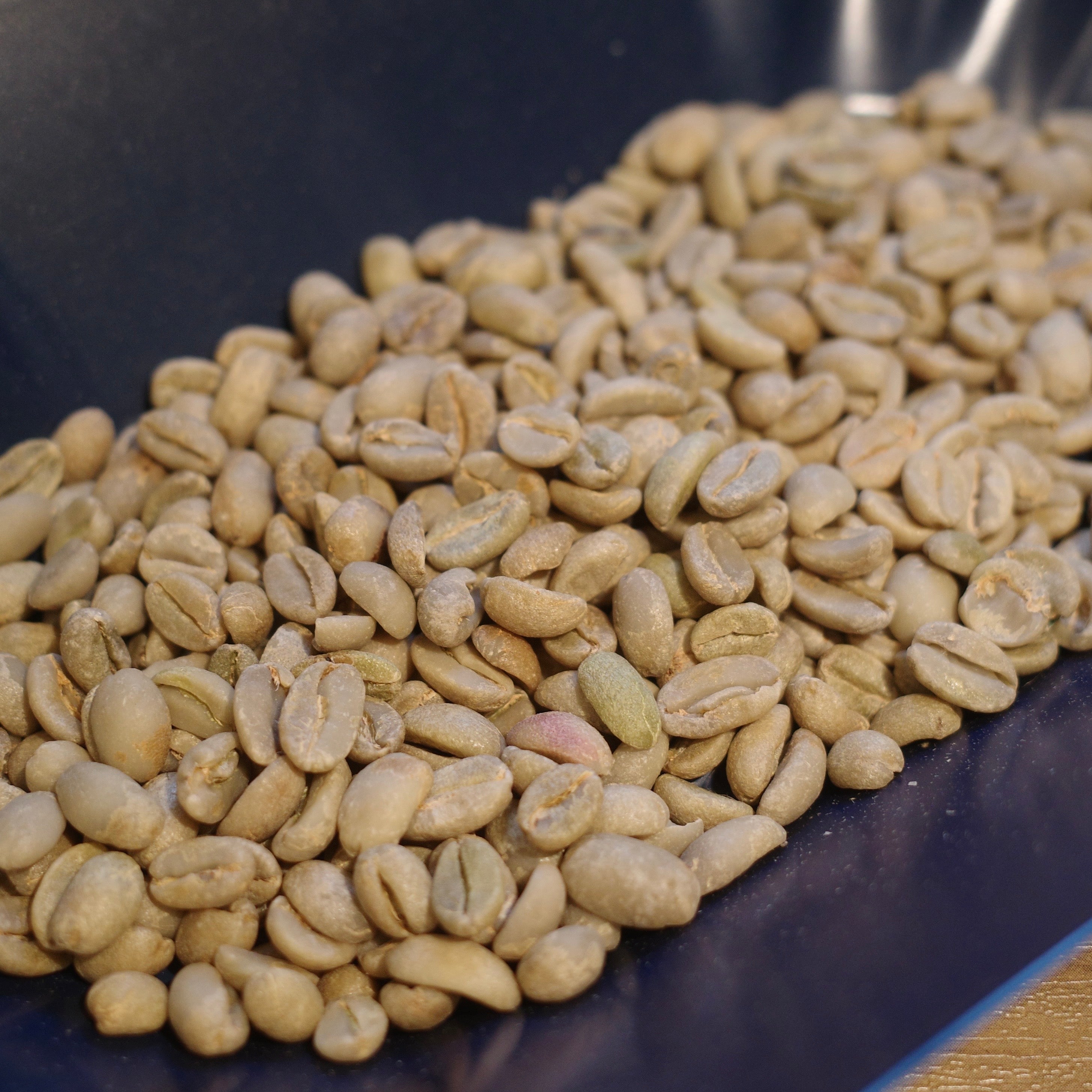 Guatemala La Hermosa Orange Gesha Washed