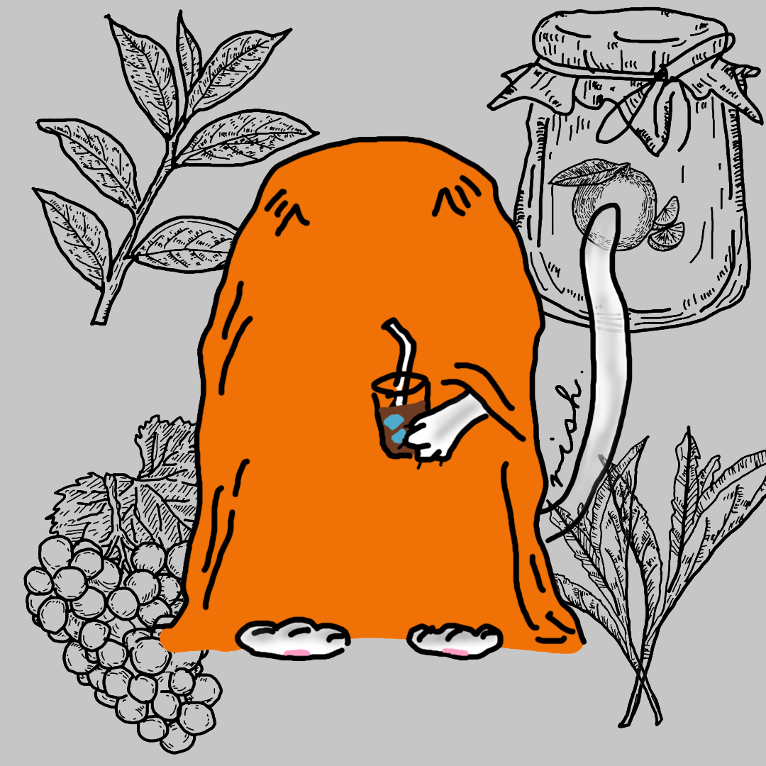 Ethiopia Guji Dimtu Natural