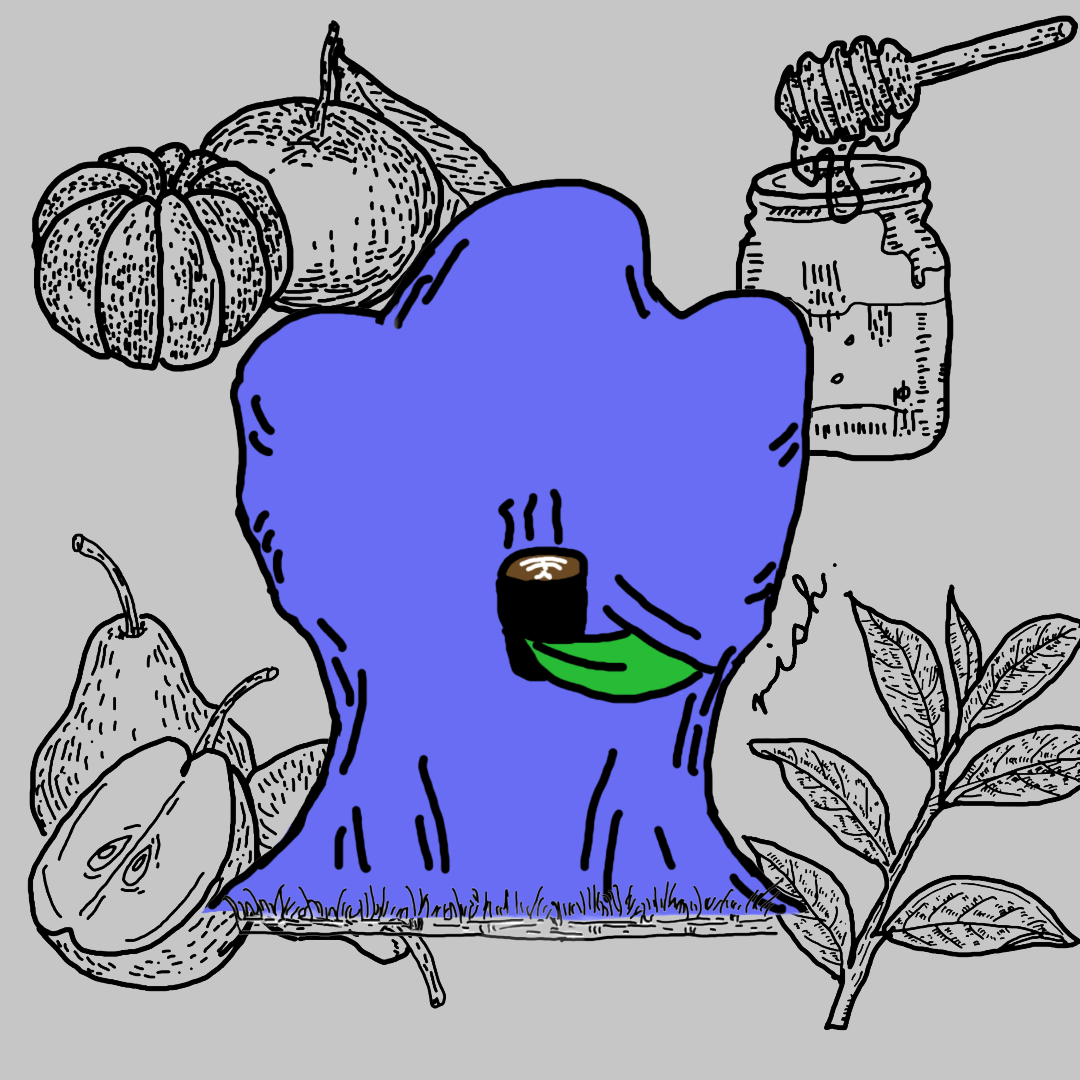 Guatemala La Hermosa Orange Gesha Washed